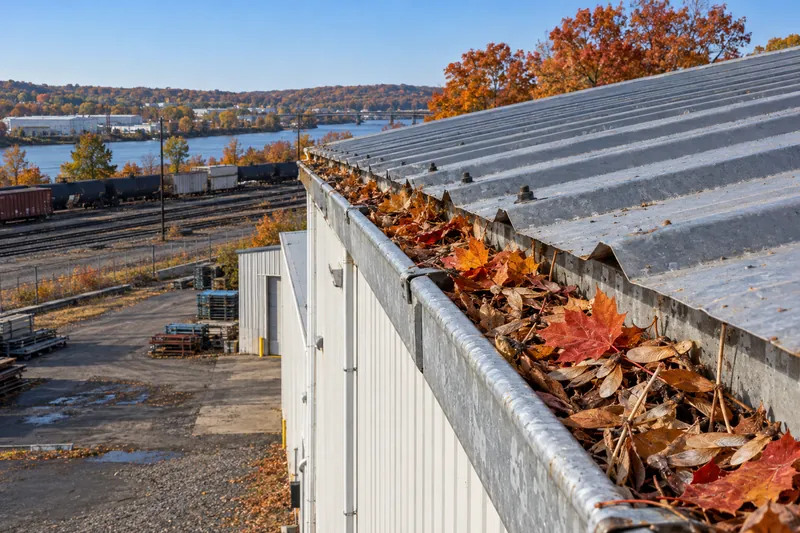 Leaves packed in the gutter along the eave of a metal panel roof